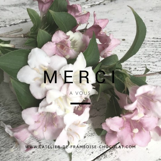 FLEURS L'ATELIER DE FRAMBOISE CHOCOLAT